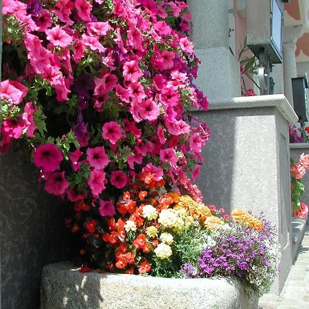 Hotel Sammer Neufelden Eksteriør bilde